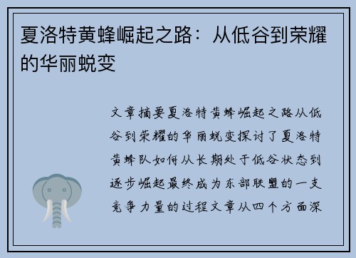 夏洛特黄蜂崛起之路：从低谷到荣耀的华丽蜕变